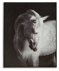 Archerwick Black / White Wall Art