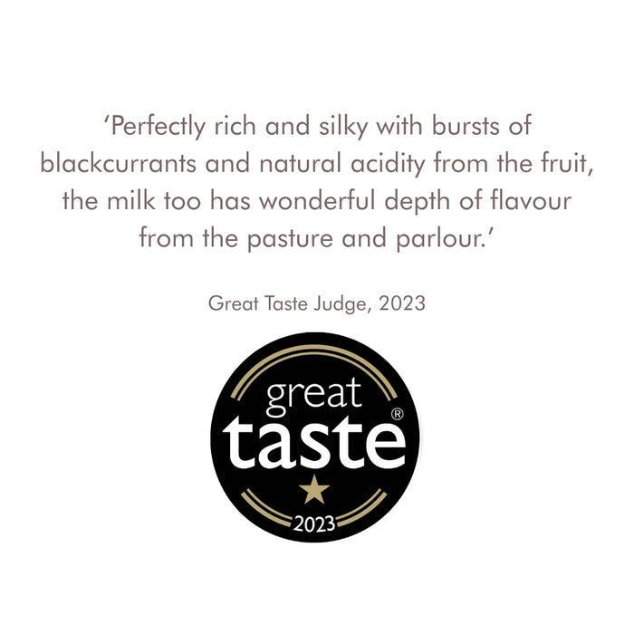 Blackcurrant ripple gelato – 500ml