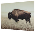 Brutus Sepia Wall Art
