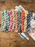 Chelsea Luxe DK Enchanted Pages Mini Sets 10 skeins DK Beach Read