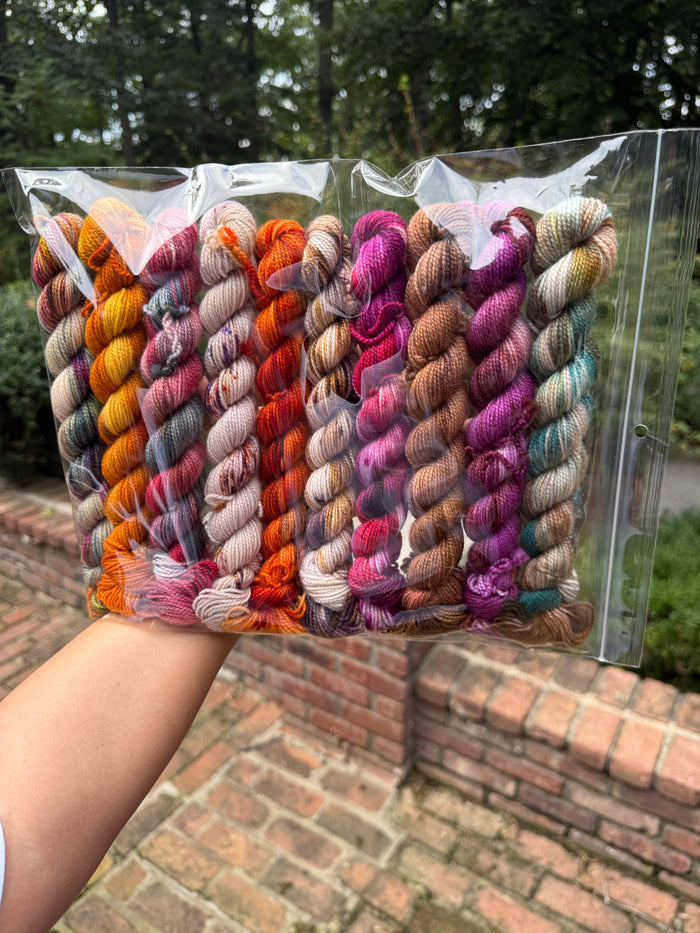 Chelsea Luxe Mini Skein Kit Fall To Do List 2026