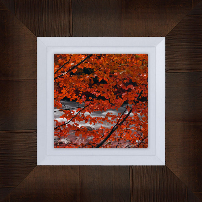 Cigar Leaf Scoop - LIK Fine Art