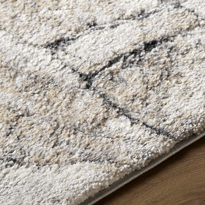 Darena Abstract Area Rug
