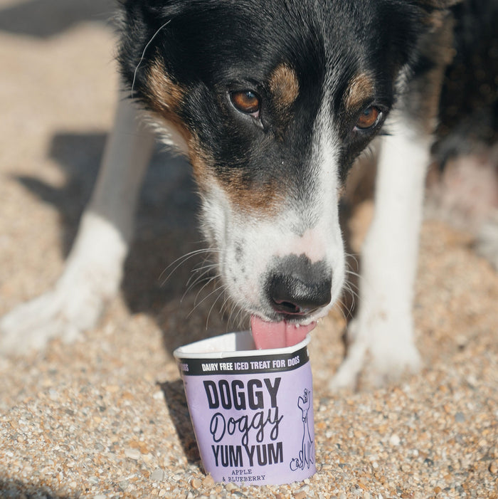Doggy Doggy Yum Yum - Apple & blueberry - 120ml
