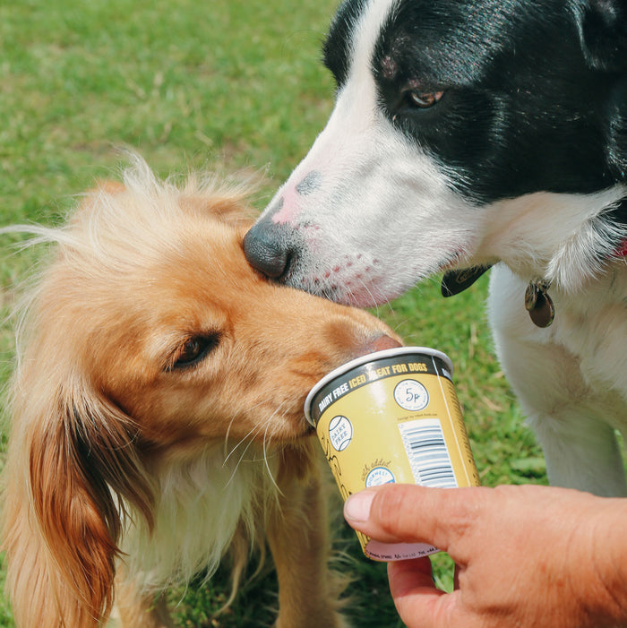 Doggy Doggy Yum Yum - Peanut butter and banana - 120ml