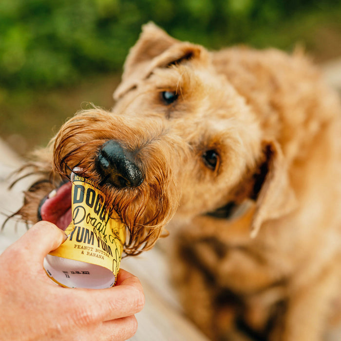 Doggy Doggy Yum Yum - Peanut butter and banana - 120ml