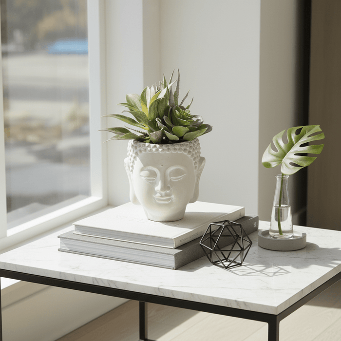 Fiori Buddha Pot Mixed Succulent
