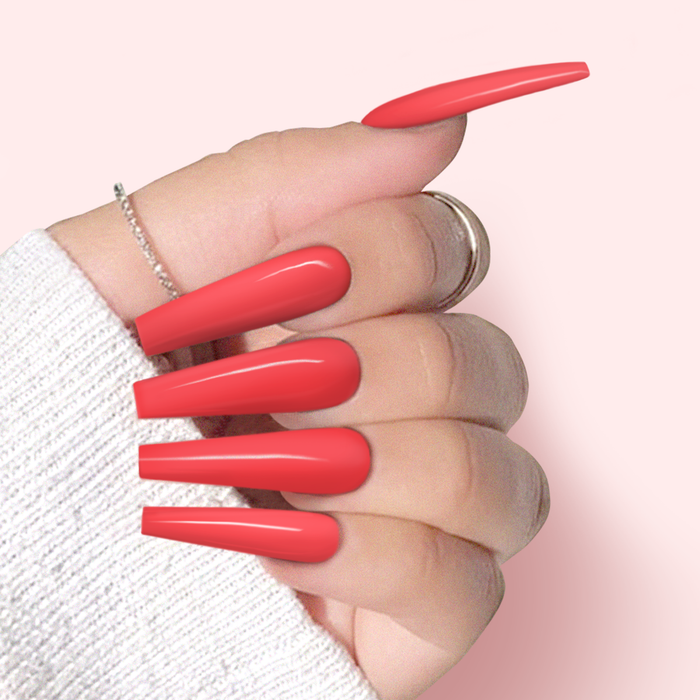 LB Powder - LB084 Desirable