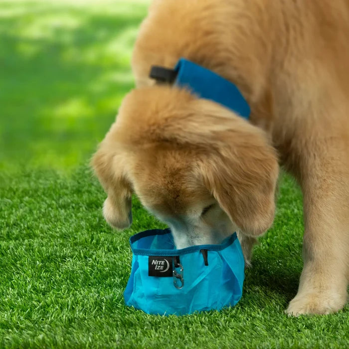 Nite Ize RadDog Collapsible Bowl in Blue