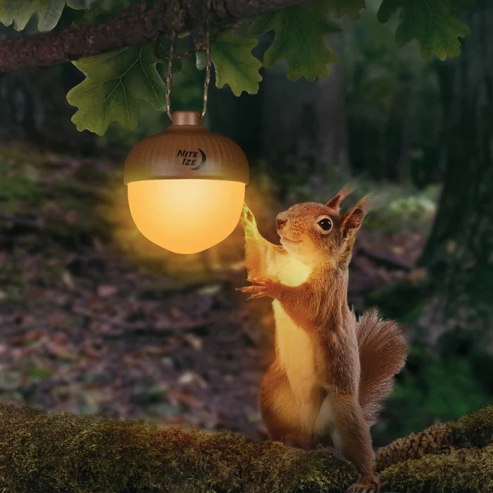 Nite Ize Radiant™ NutLit™ Rechargeable Lantern